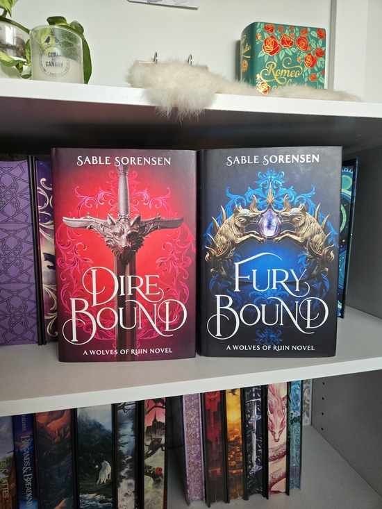 Other - Waterstones - Direbound & Furybound Handsigned